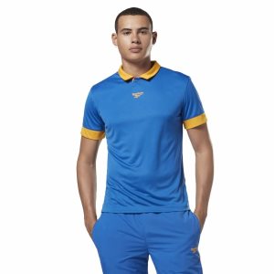 Bluza Męskie Reebok Classic Football Polo Głęboka Niebieskie PL 70JKELF